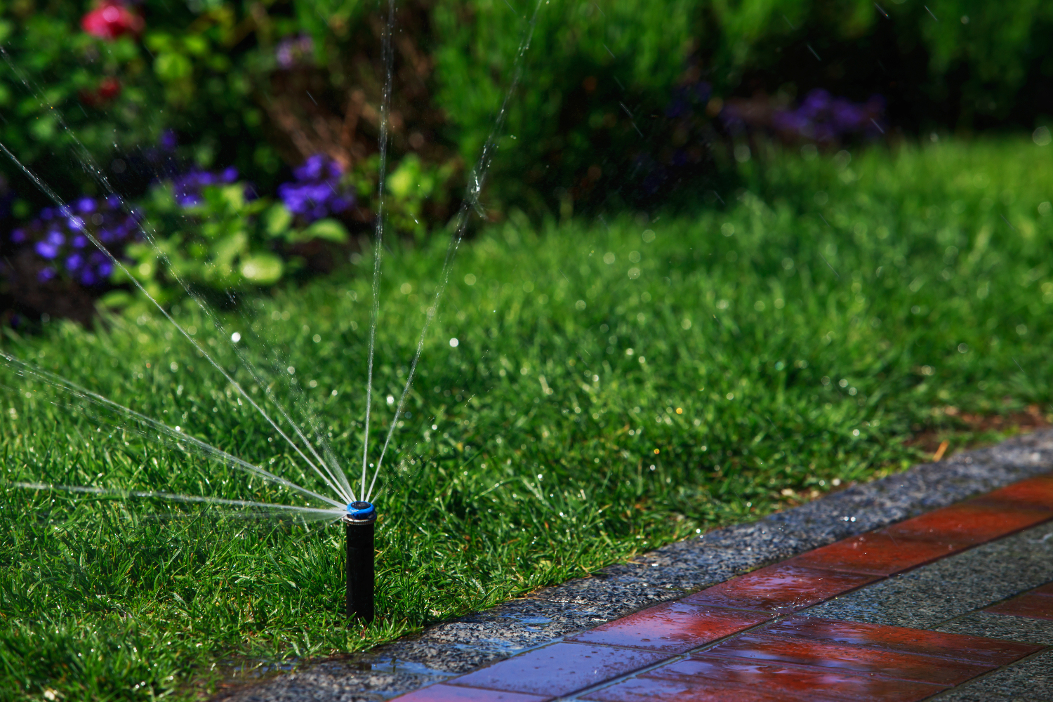 Come fare un impianto di irrigazione fai da te in giardino